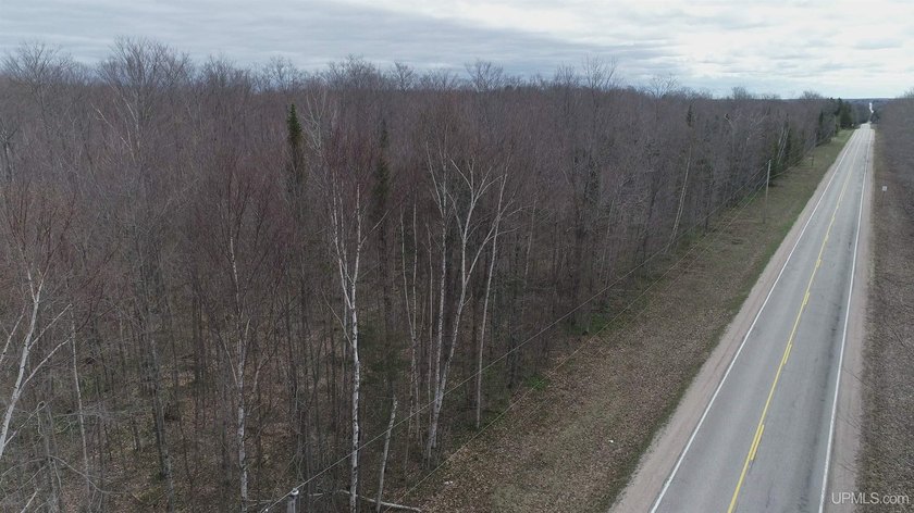 10 acres in the heart of Schoolcraft County in Michigan's - Beach Acreage for sale in Gulliver, Michigan on Beachhouse.com