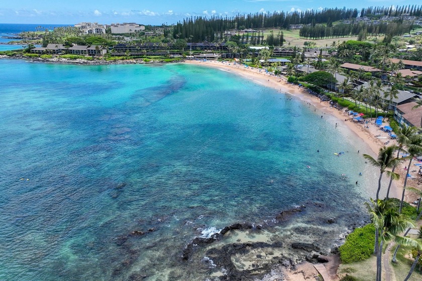 Napili Shores is one of West Maui's most iconic low-rise - Beach Condo for sale in Lahaina, Hawaii on Beachhouse.com