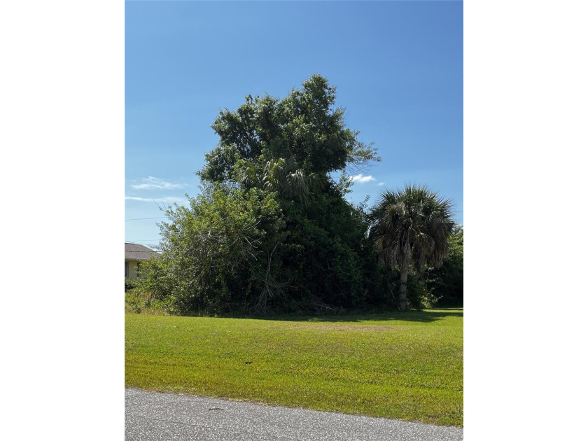 Discover your slice of Florida paradise!  This oversized double - Beach Lot for sale in Englewood, Florida on Beachhouse.com