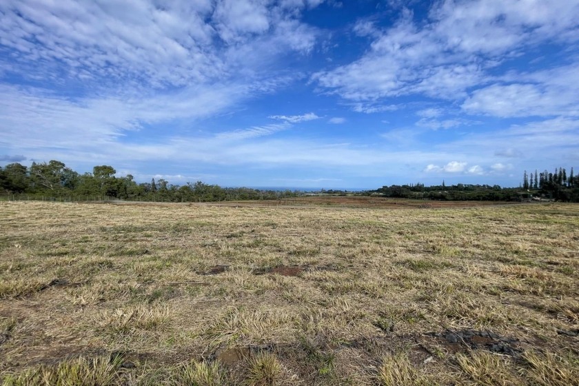 Located in the desirable Baldwin Ranch Estates Phase 2, this 2 - Beach Acreage for sale in Makawao, Hawaii on Beachhouse.com