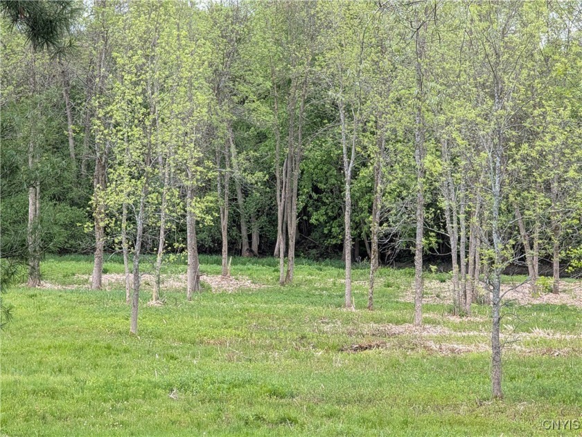 OWNER FINANCE AVAILABLE!!!Several Lots available on the Perch - Beach Acreage for sale in Brownville, New York on Beachhouse.com