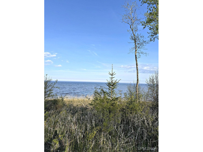 Water, Sun, Fun, Northern Lights! Enjoy it all from this - Beach Lot for sale in Menominee, Michigan on Beachhouse.com
