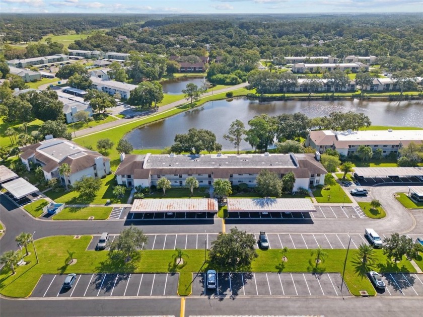 Under contract-accepting backup offers. Live your best life in - Beach Condo for sale in Oldsmar, Florida on Beachhouse.com