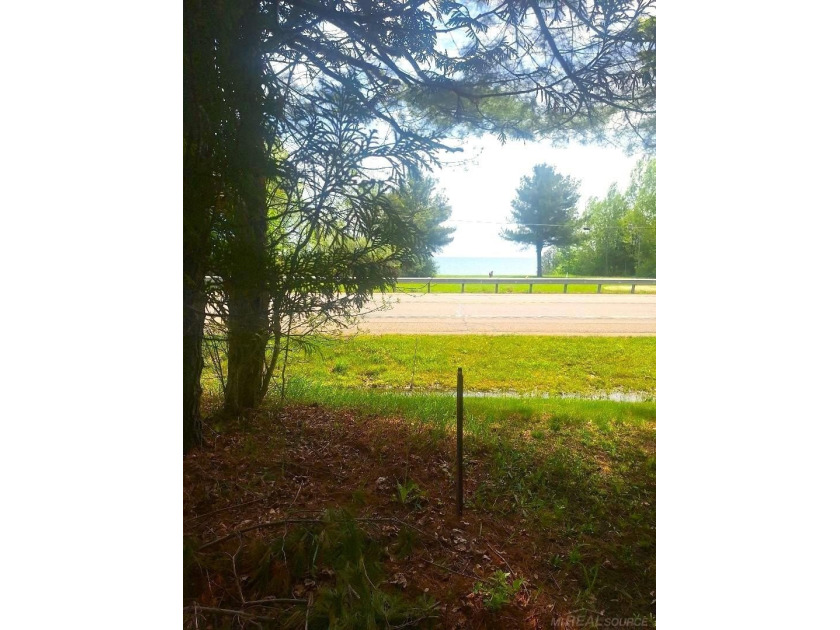 Build your Dream Home near the Shores of Lake Huron! Located on - Beach Lot for sale in Applegate, Michigan on Beachhouse.com