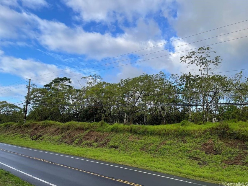 A rare opportunity to purchase this large acreage of beautiful - Beach Lot for sale in Pahoa, Hawaii on Beachhouse.com