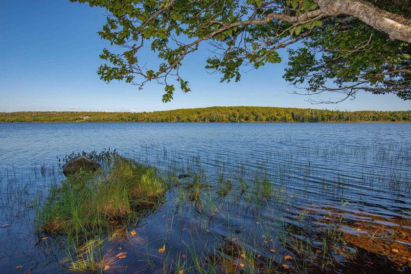 Unlock the potential of this extraordinary 117-acres of forest - Beach Acreage for sale in Port Maitland, Nova Scotia on Beachhouse.com