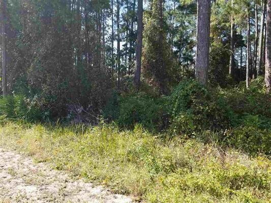 GREAT building lot which is high and dry and ready to build your - Beach Lot for sale in Freeport, Florida on Beachhouse.com