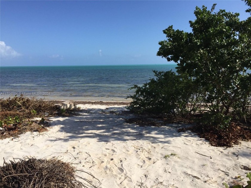 Rare opportunity to own a beachfront lot with an active building - Beach Lot for sale in Long Key, Florida on Beachhouse.com