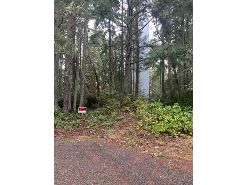 Welcome to your Perfect Island Location. Very close to Ferry - Beach Lot for sale in Anderson Island, Washington on Beachhouse.com