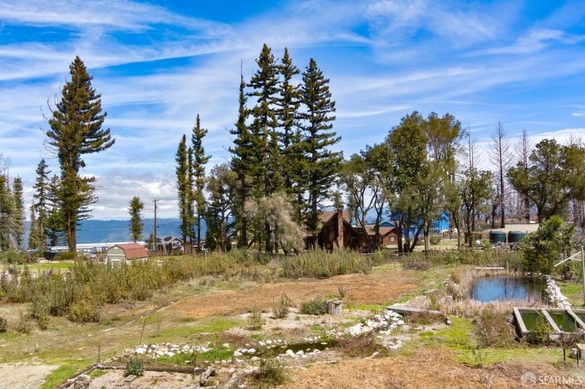 Live off grid but not cut off from civilization. Flat Lot. Build - Beach Lot for sale in Santa Cruz, California on Beachhouse.com