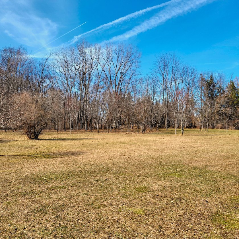 Uniquely Private Setting within minutes of Lake Michigan in New - Beach Acreage for sale in New Buffalo, Michigan on Beachhouse.com