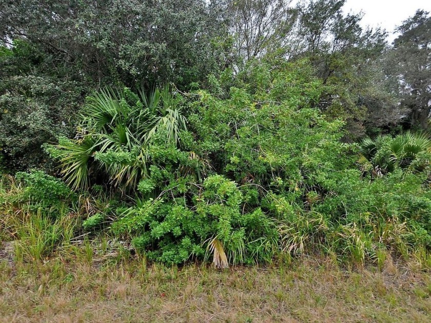Beautiful, large CORNER LOT in the flourishing city of North - Beach Lot for sale in North Port, Florida on Beachhouse.com