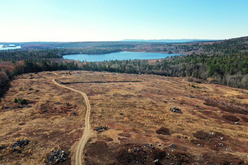 Nearly 200 acres of gently rolling woods and blueberry fields - Beach Acreage for sale in Penobscot, Maine on Beachhouse.com