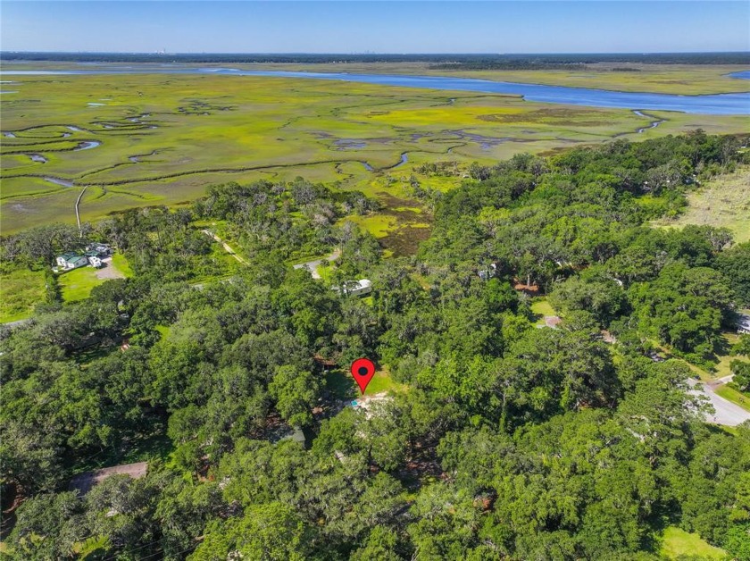 Your coastal oasis awaits! Don't miss this CLEARED, almost half - Beach Lot for sale in Fernandina Beach, Florida on Beachhouse.com