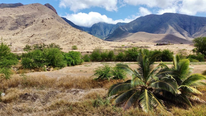 Rare mostly level lot located in Ukumehame with just over 7 - Beach Acreage for sale in Lahaina, Hawaii on Beachhouse.com