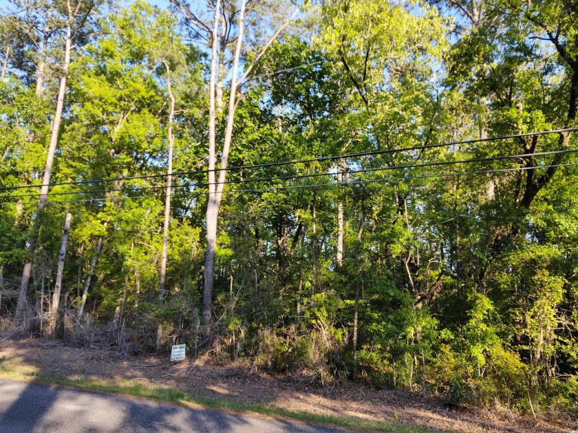 Waterfront lot situate in the Belle Isle Subdivision.  Beautiful - Beach Lot for sale in Georgetown, South Carolina on Beachhouse.com
