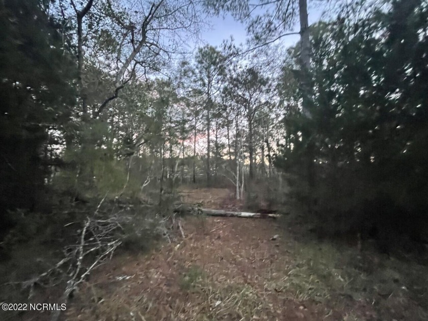 Great lot to build your new home on! Partially wooded lot with a - Beach Home for sale in Shallotte, North Carolina on Beachhouse.com