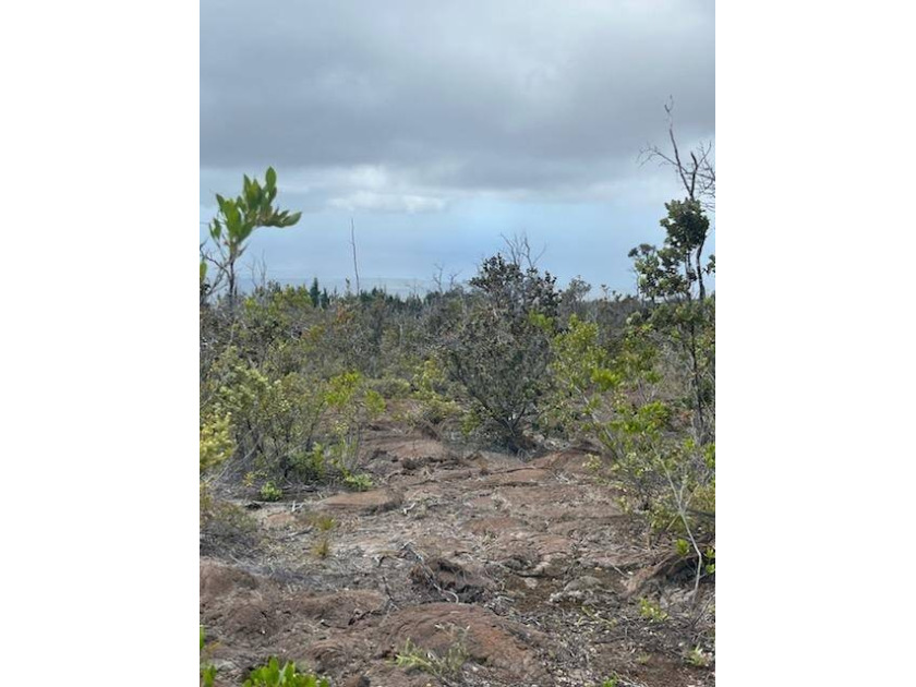 Here is your chance to purchase 2 acres for the price of one in - Beach Acreage for sale in Ocean View, Hawaii on Beachhouse.com