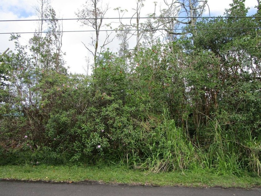 Lightly wooded lot with many nice homes in the area. Located on - Beach Lot for sale in Pahoa, Hawaii on Beachhouse.com