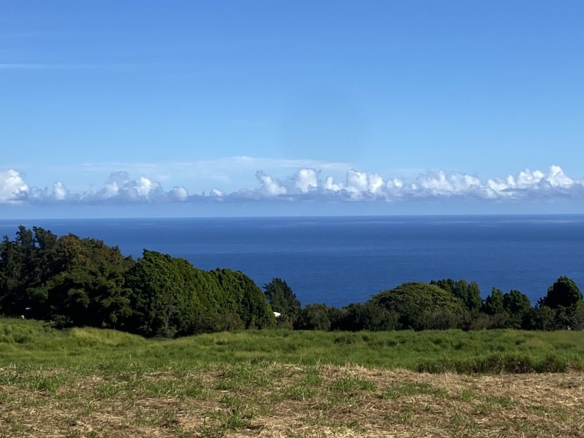 Amazingly beautiful 5.37 acre parcel on Kalopa Mauka Rd. with a - Beach Acreage for sale in Honokaa, Hawaii on Beachhouse.com