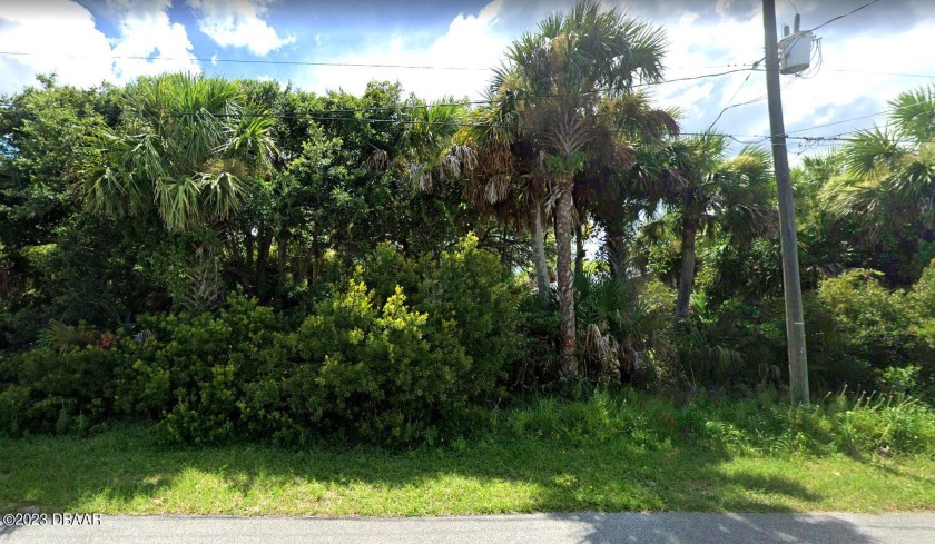 This gem is is located only 3 blocks from the beach with a rear - Beach Lot for sale in Flagler Beach, Florida on Beachhouse.com