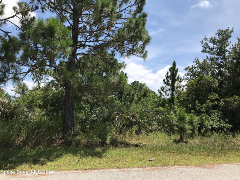 This vacant lot is located close to Shopping, Schools, Hospital - Beach Lot for sale in Palm Bay, Florida on Beachhouse.com
