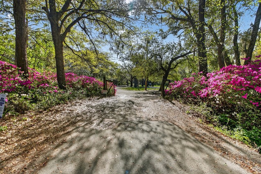 Builder Bundle- 3 contiguous R-4 zoned lots ideal for - Beach Acreage for sale in Johns Island, South Carolina on Beachhouse.com