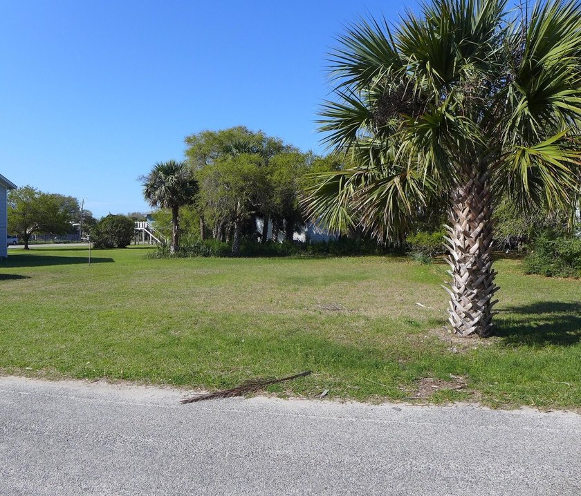 Desirable 4th row homesite just one lot off Palmetto Boulevard - Beach Lot for sale in Edisto Island, South Carolina on Beachhouse.com