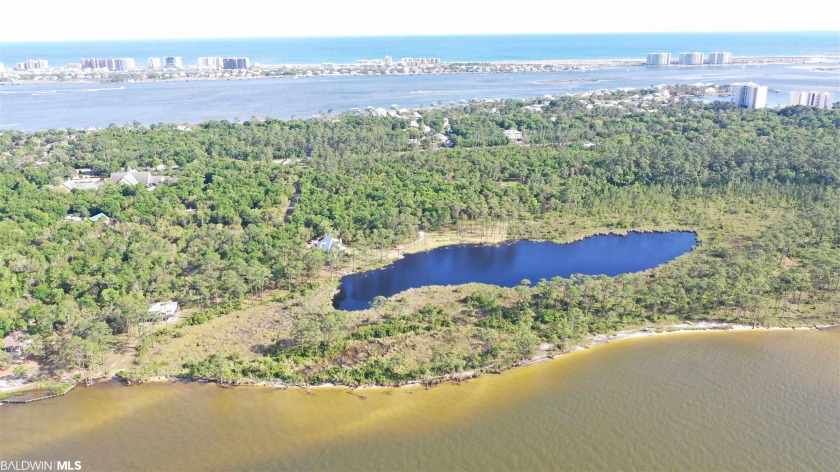 One of the last large jewels in Orange Beach offering - Beach Acreage for sale in Orange Beach, Alabama on Beachhouse.com