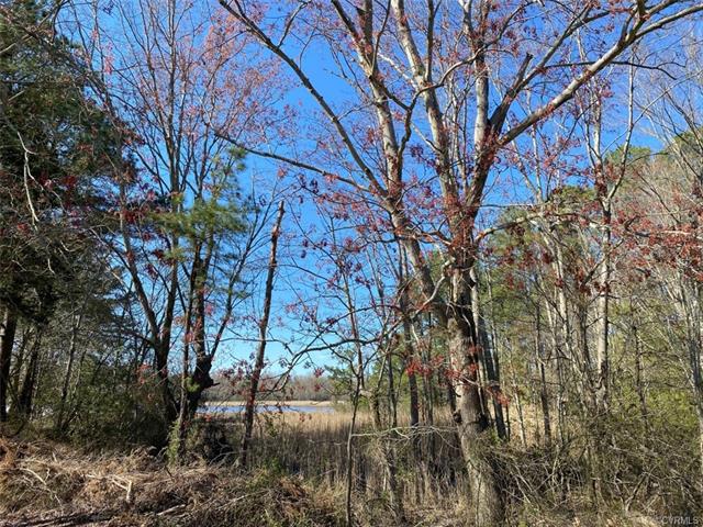 3.49 Acres located on Cedar Point Road. 2.49 wooded Acres which - Beach Acreage for sale in Warsaw, Virginia on Beachhouse.com