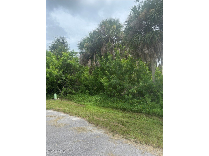 PRICE DROP!! Situated on a peaceful cul-de-sac in the Rotonda - Beach Lot for sale in Rotonda West, Florida on Beachhouse.com