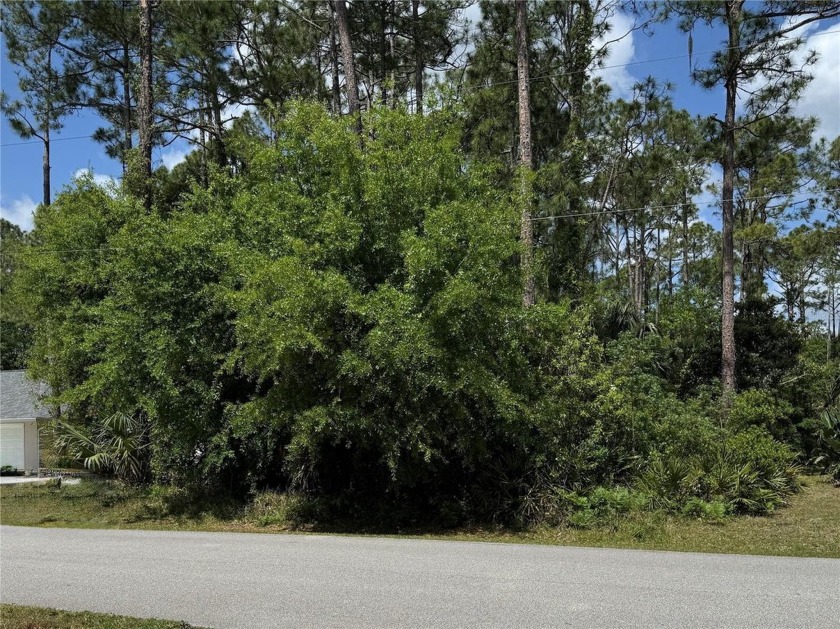 Build your dream home on this 8,015 sq ft lot located in a quiet - Beach Lot for sale in Palm Coast, Florida on Beachhouse.com