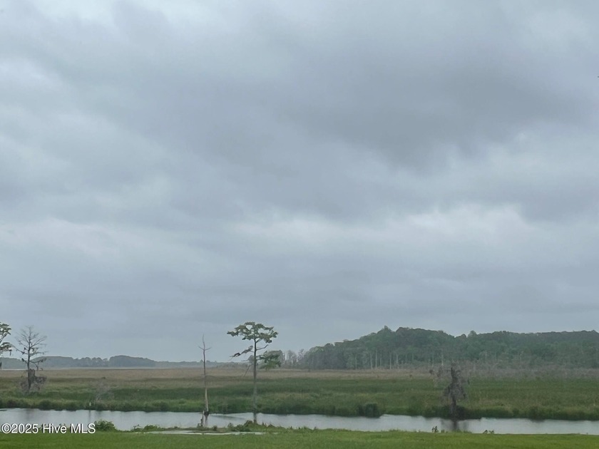 Beautiful 27 acres of marsh. Duck hunters paradise. Access by - Beach Acreage for sale in Chocowinity, North Carolina on Beachhouse.com