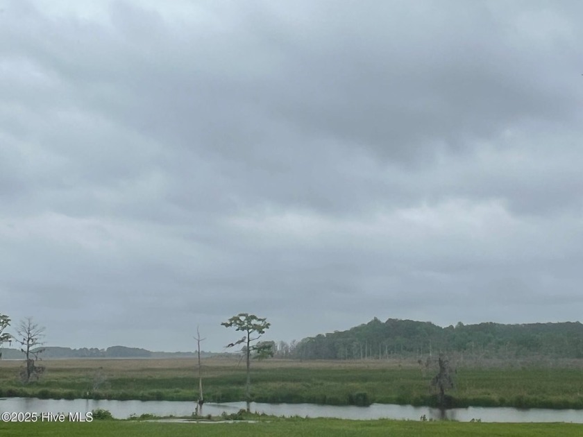 Beautiful 27 acres of marsh. Duck hunters paradise. Access by - Beach Acreage for sale in Chocowinity, North Carolina on Beachhouse.com
