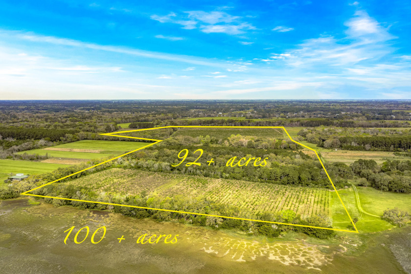 This large acreage agricultural tract is a rare find on Johns - Beach Acreage for sale in Johns Island, South Carolina on Beachhouse.com