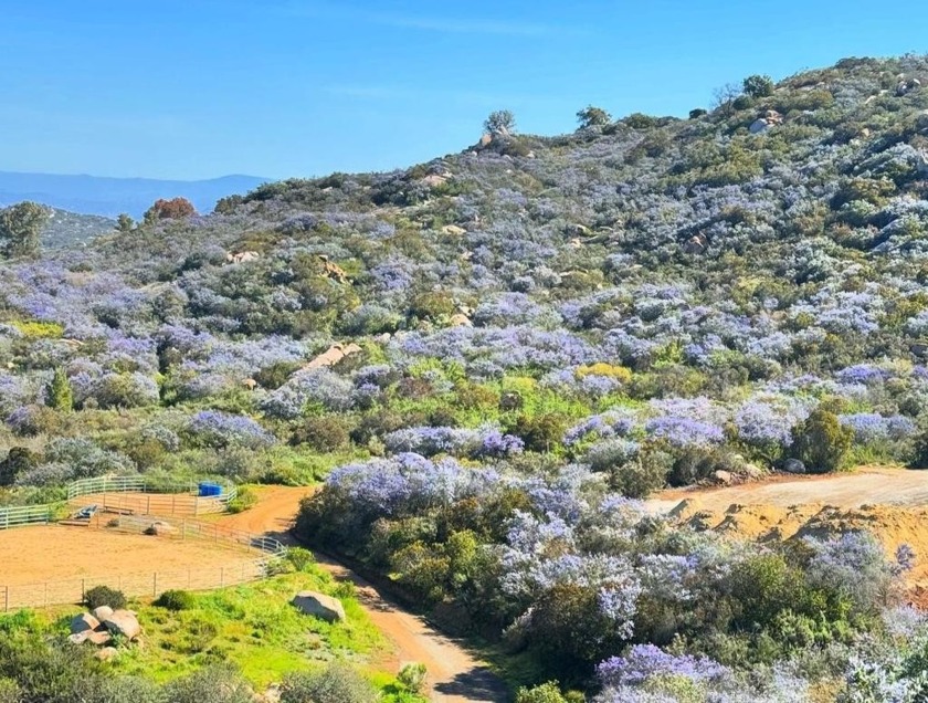 Nestled high above Muth Valley, this expansive property offers - Beach Acreage for sale in Lakeside, California on Beachhouse.com