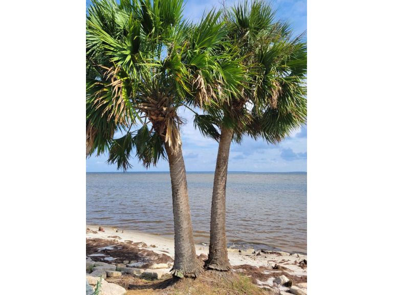 Gramercy Plantation is a beautiful private subdivision - Beach Lot for sale in Eastpoint, Florida on Beachhouse.com