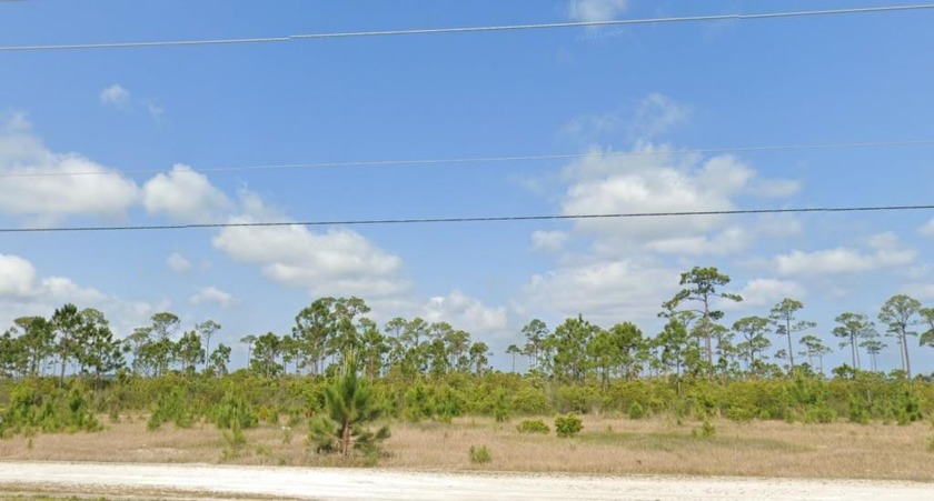 Enjoy breathtaking sunset views!  This cleared building lot is - Beach Lot for sale in Cape San Blas, Florida on Beachhouse.com