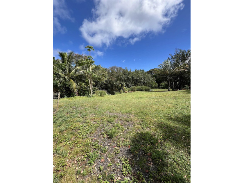 Conveniently located in the heart of Haiku, this beautiful CPR - Beach Lot for sale in Haiku, Hawaii on Beachhouse.com