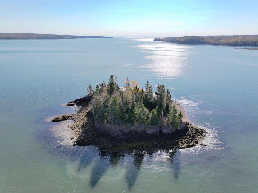 Discover the unparalleled delight of owning your own island! - Beach Lot for sale in Robbinston, Maine on Beachhouse.com