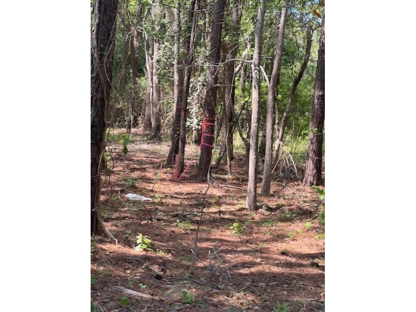 Beautiful wooded lot, just minutes from the Island of Palms - Beach Lot for sale in Mount Pleasant, South Carolina on Beachhouse.com