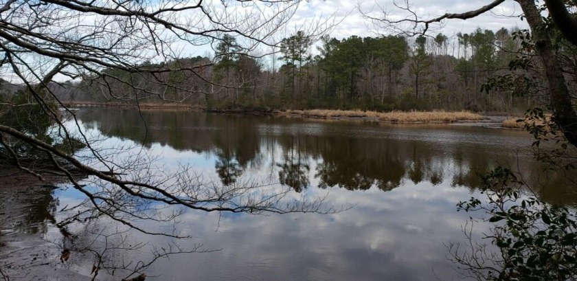 This is a beautiful wooded 3.49 acre waterfront lot with over - Beach Lot for sale in Heathsville, Virginia on Beachhouse.com