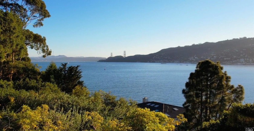 Rare investment opportunity to acquire an estate property in one - Beach Home for sale in Belvedere Tiburon, California on Beachhouse.com