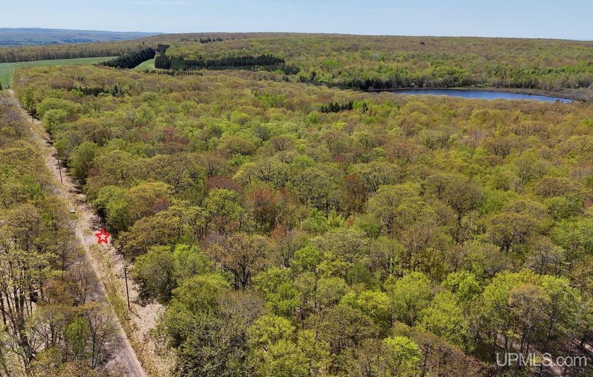 Pristine wooded acreage near Houghton and Lake Superior! This - Beach Acreage for sale in Houghton, Michigan on Beachhouse.com