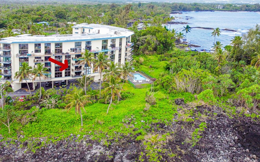 Luxury unit located directly next to Richardson Ocean Park - Beach Home for sale in Hilo, Hawaii on Beachhouse.com