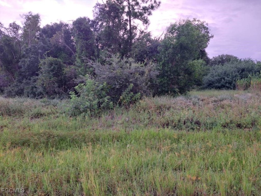 There is great potential in this DUPLEX-zoned lot located near - Beach Lot for sale in Lehigh Acres, Florida on Beachhouse.com