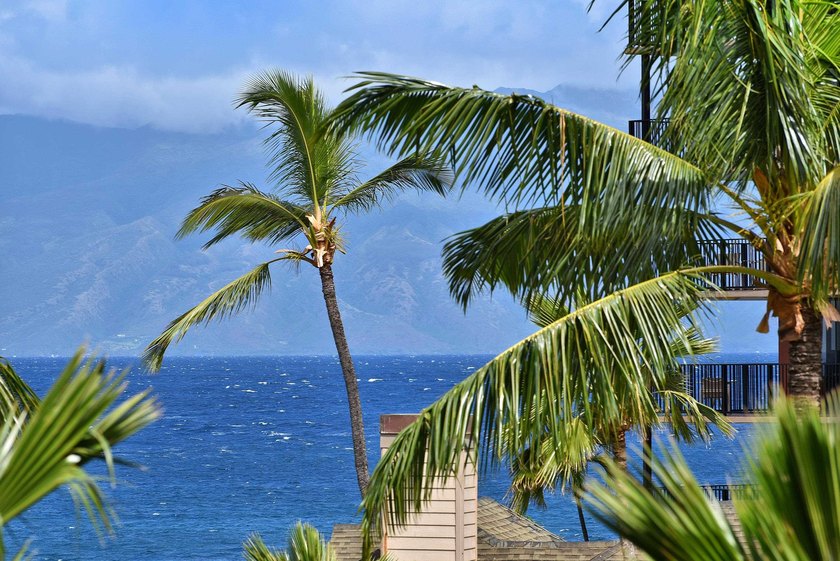 This 1 bed 1 bath ocean view upgraded unit is located just - Beach Condo for sale in Lahaina, Hawaii on Beachhouse.com