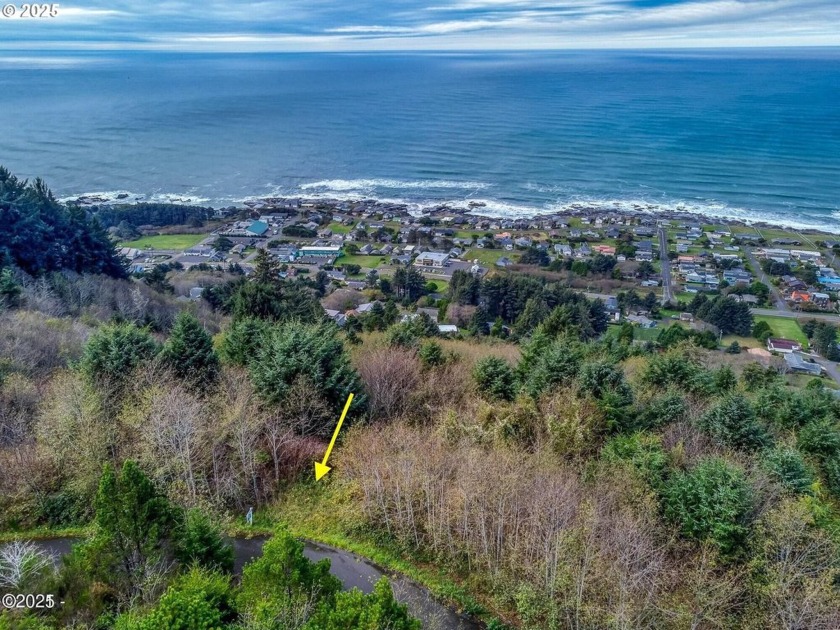 BREATHTAKING OCEAN VIEWS! Build your dream home high above the - Beach Lot for sale in Yachats, Oregon on Beachhouse.com