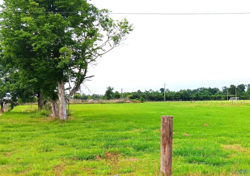 What a very cool location!  At 4.55 of UNRESTRICTED acres the - Beach Acreage for sale in Bourg, Louisiana on Beachhouse.com
