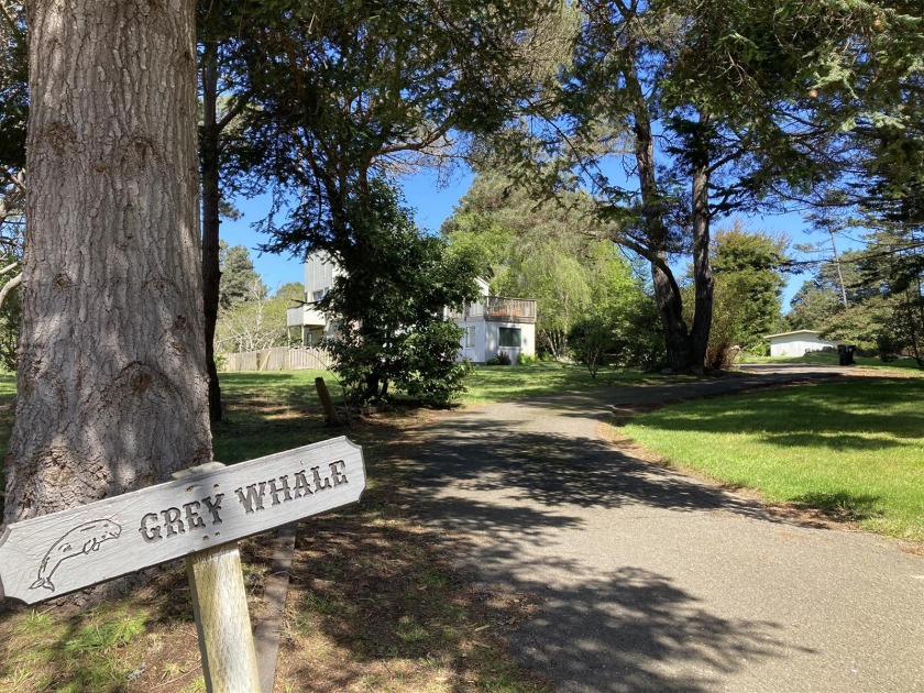 Grey Whale - Beach Vacation Rentals in , CA on Beachhouse.com